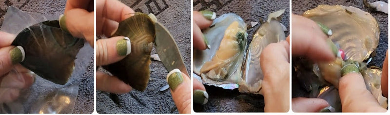 Pearl Oyster Openings