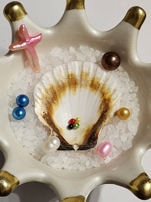 Adoptable Pearls & Shells