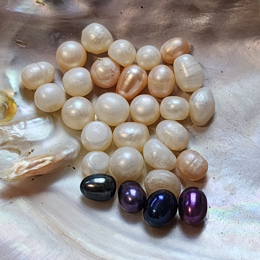 Royal Court: Court Jester Oyster Opening