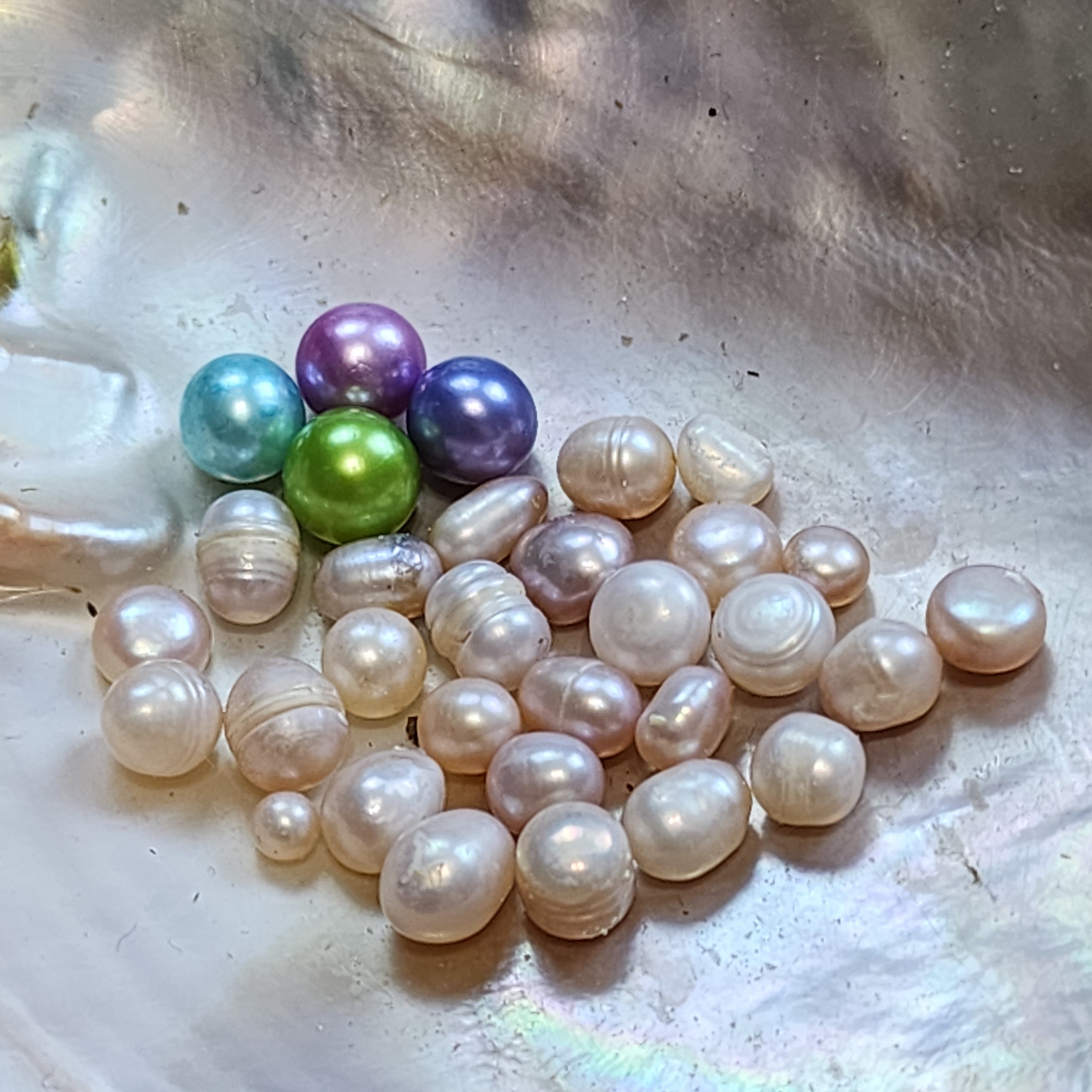 Royal Court: Court Jester Oyster Opening