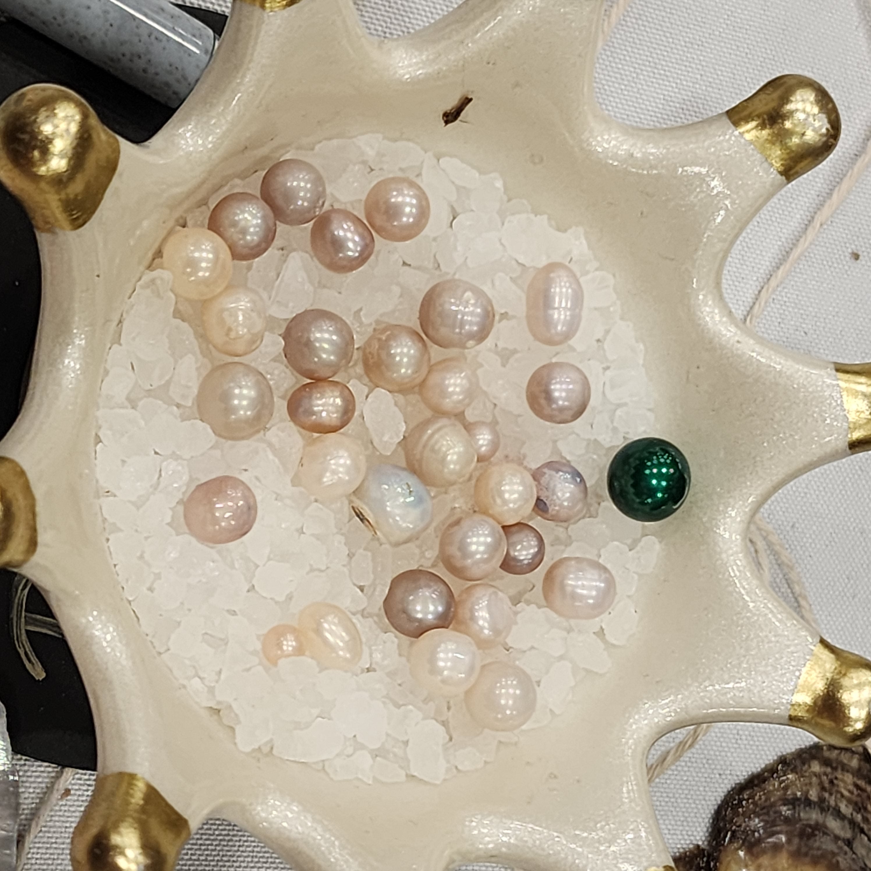 Royal Court: Court Jester Oyster Opening