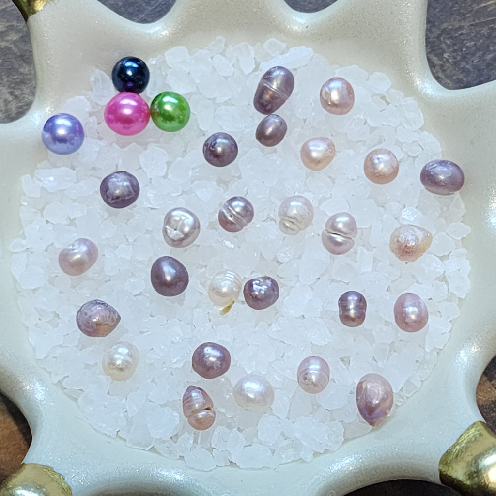 Royal Court: Court Jester Oyster Opening