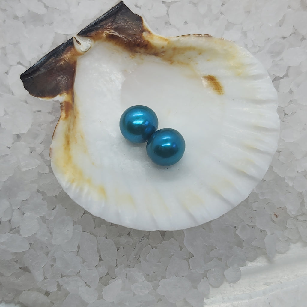 Edison Round Twin Pearl Oyster Opening