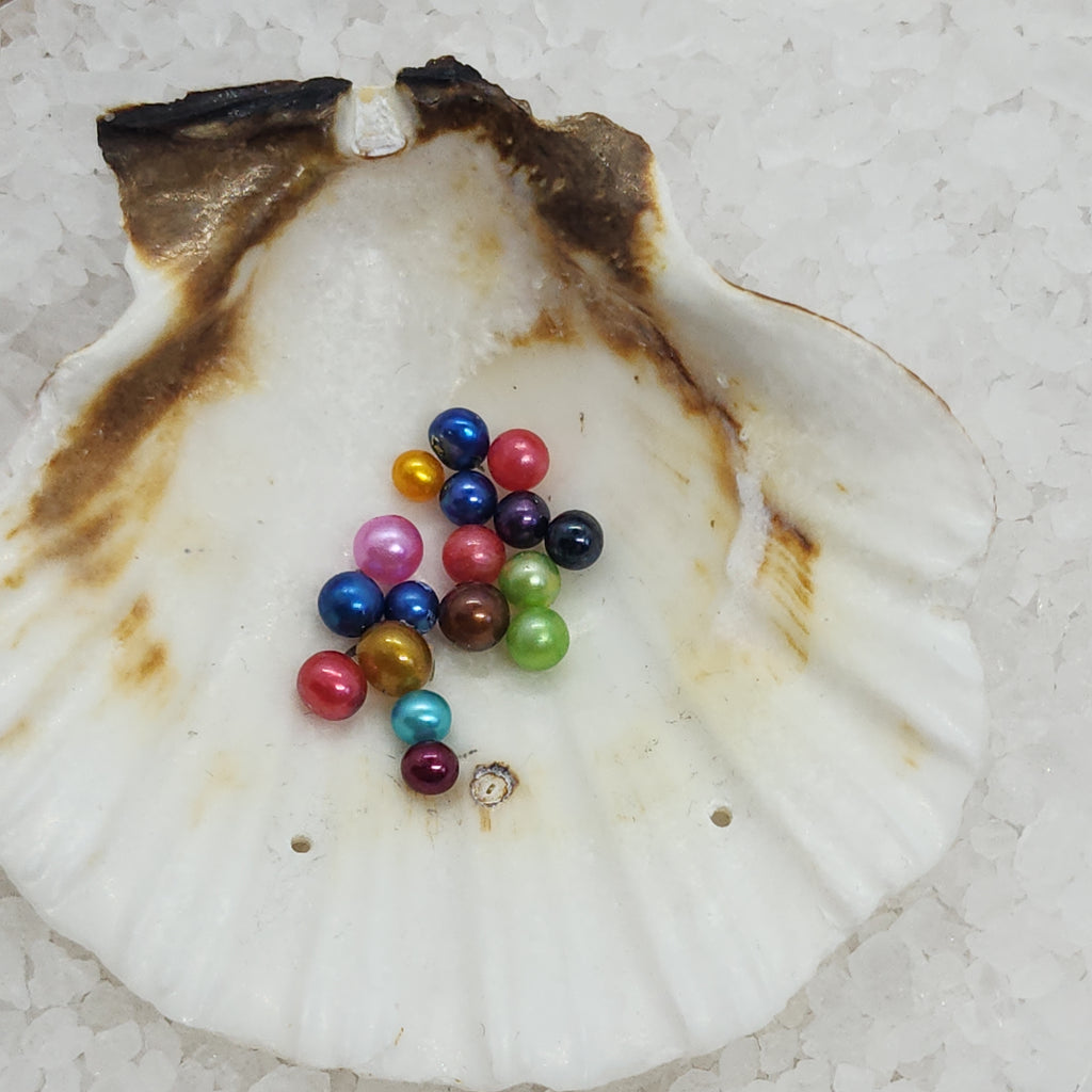 Micro Freshwater Mini Round Pearl Oyster Opening