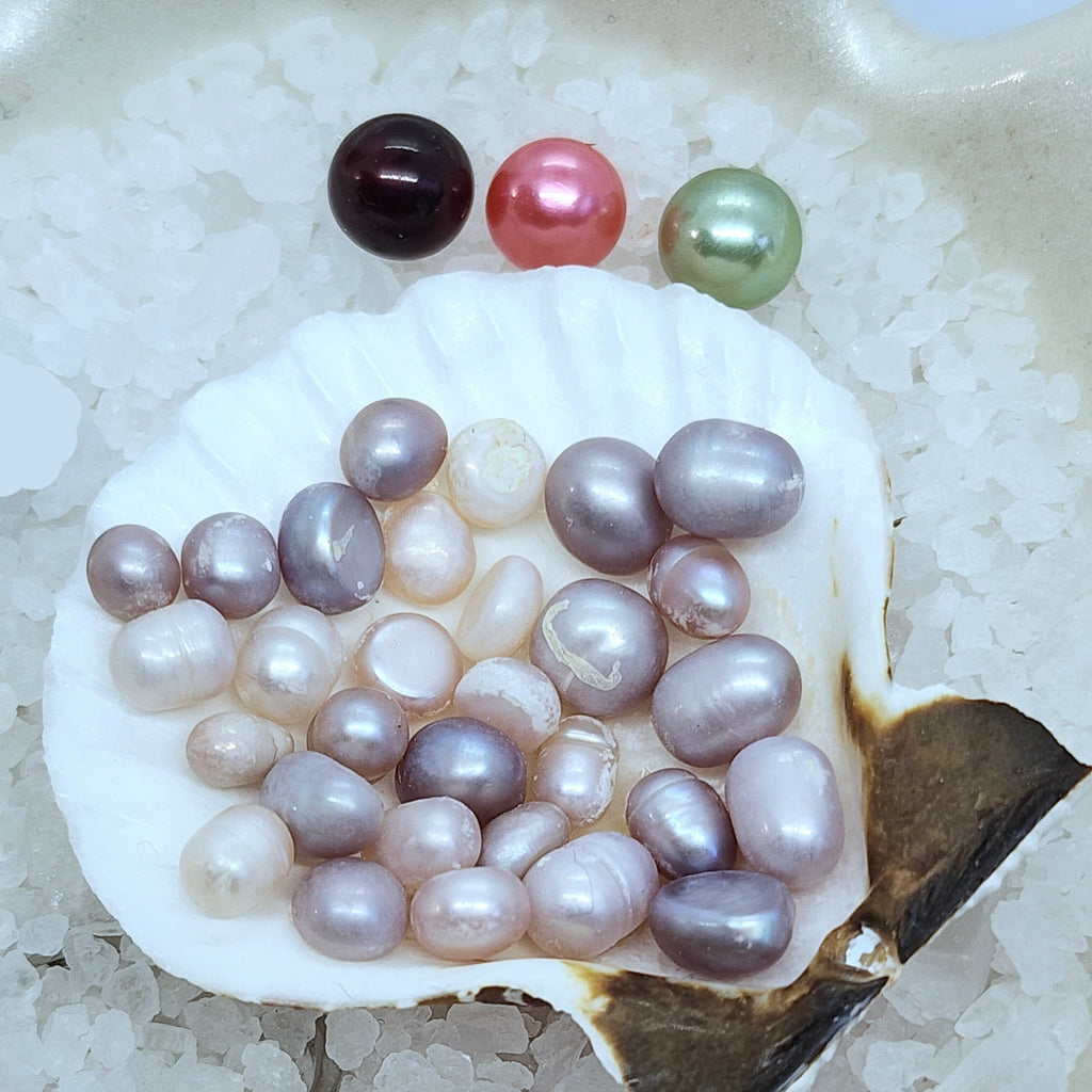 Royal Court: Court Jester Oyster Opening