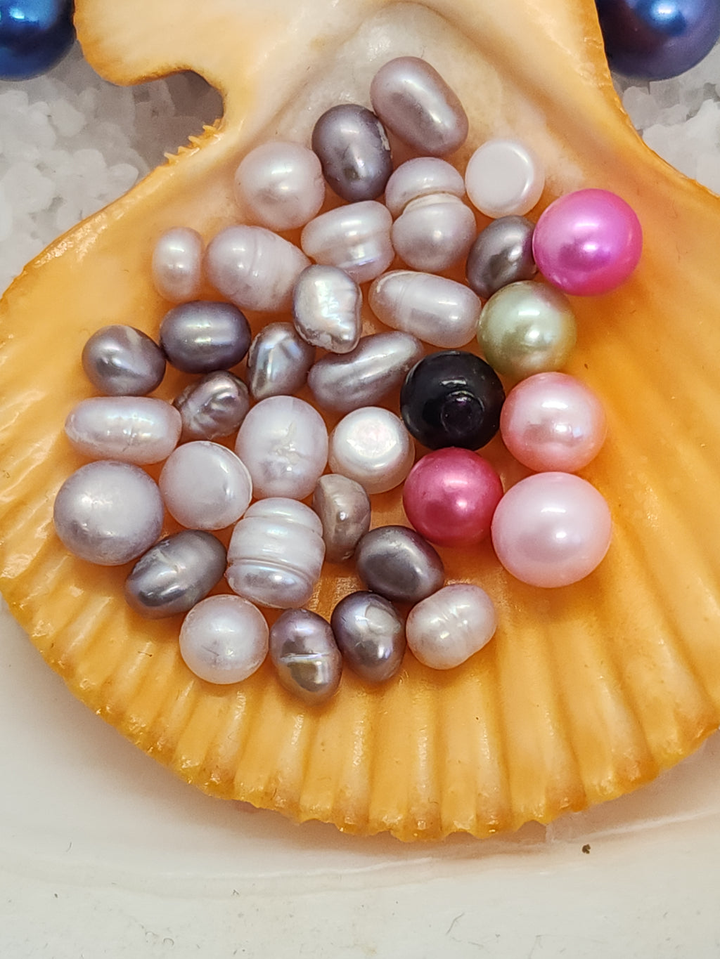 Royal Court: Court Jester Oyster Opening