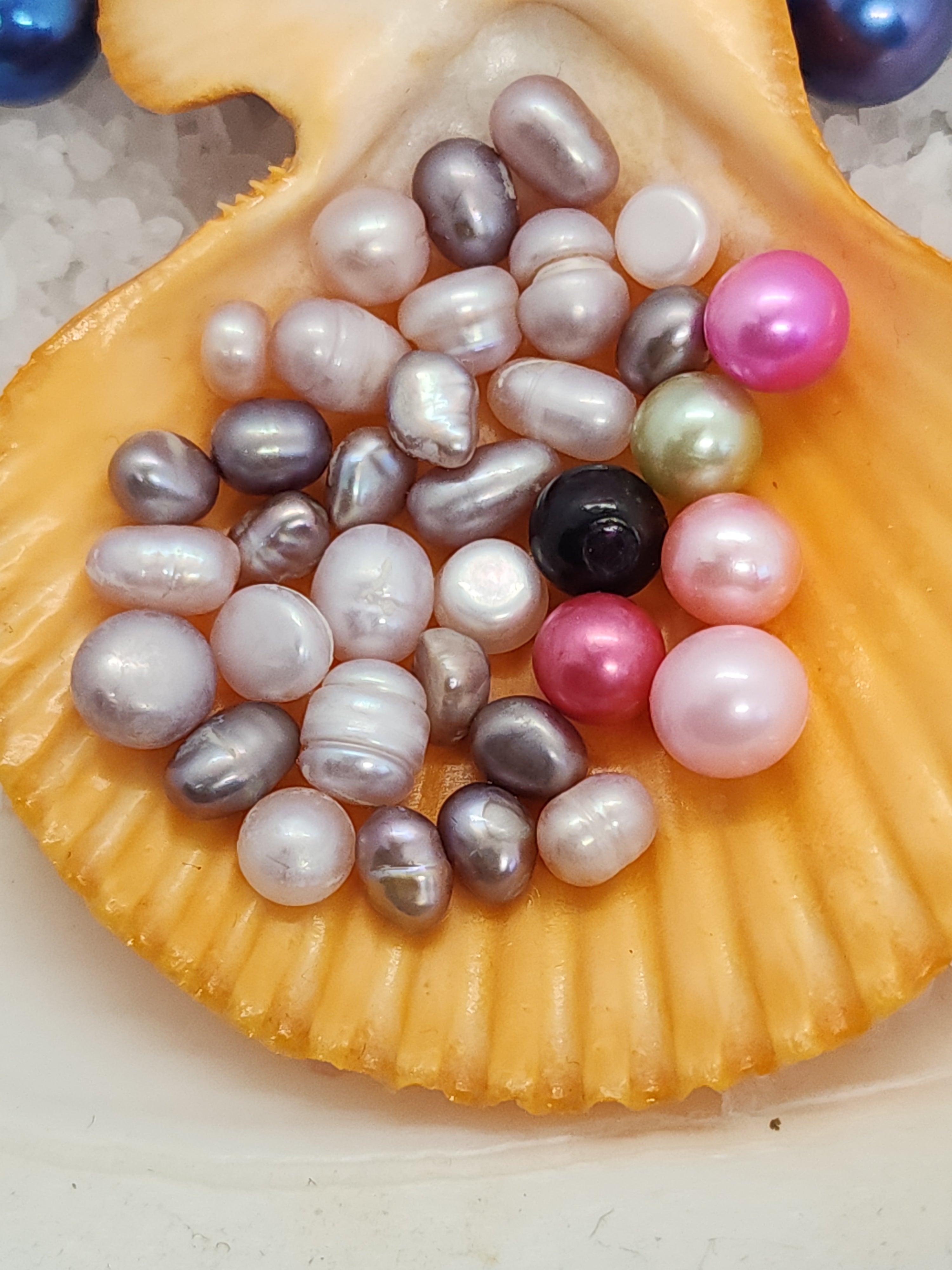 Royal Court: Court Jester Oyster Opening