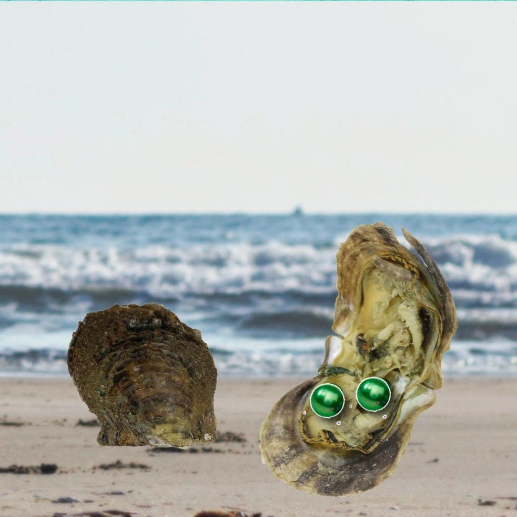 Edison Round Twin Pearl Oyster Opening