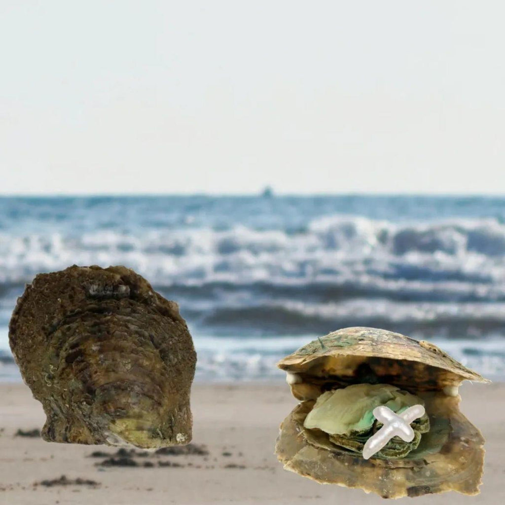 Hunter's Cross Single Pearl Oyster Opening