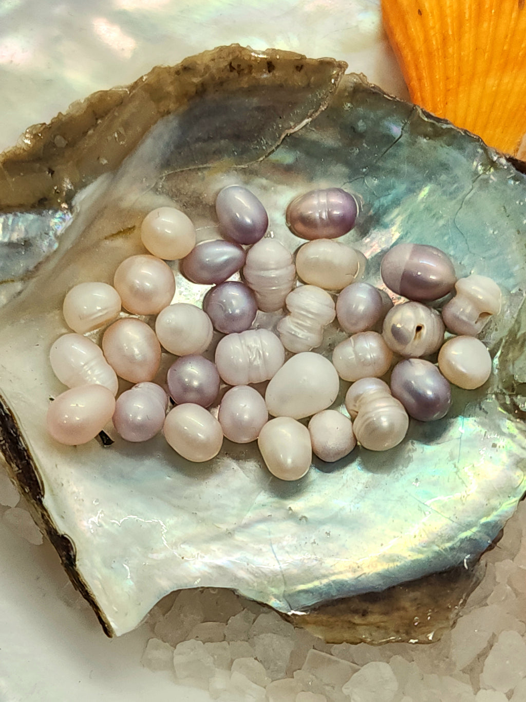 Royal Court King Oyster Opening