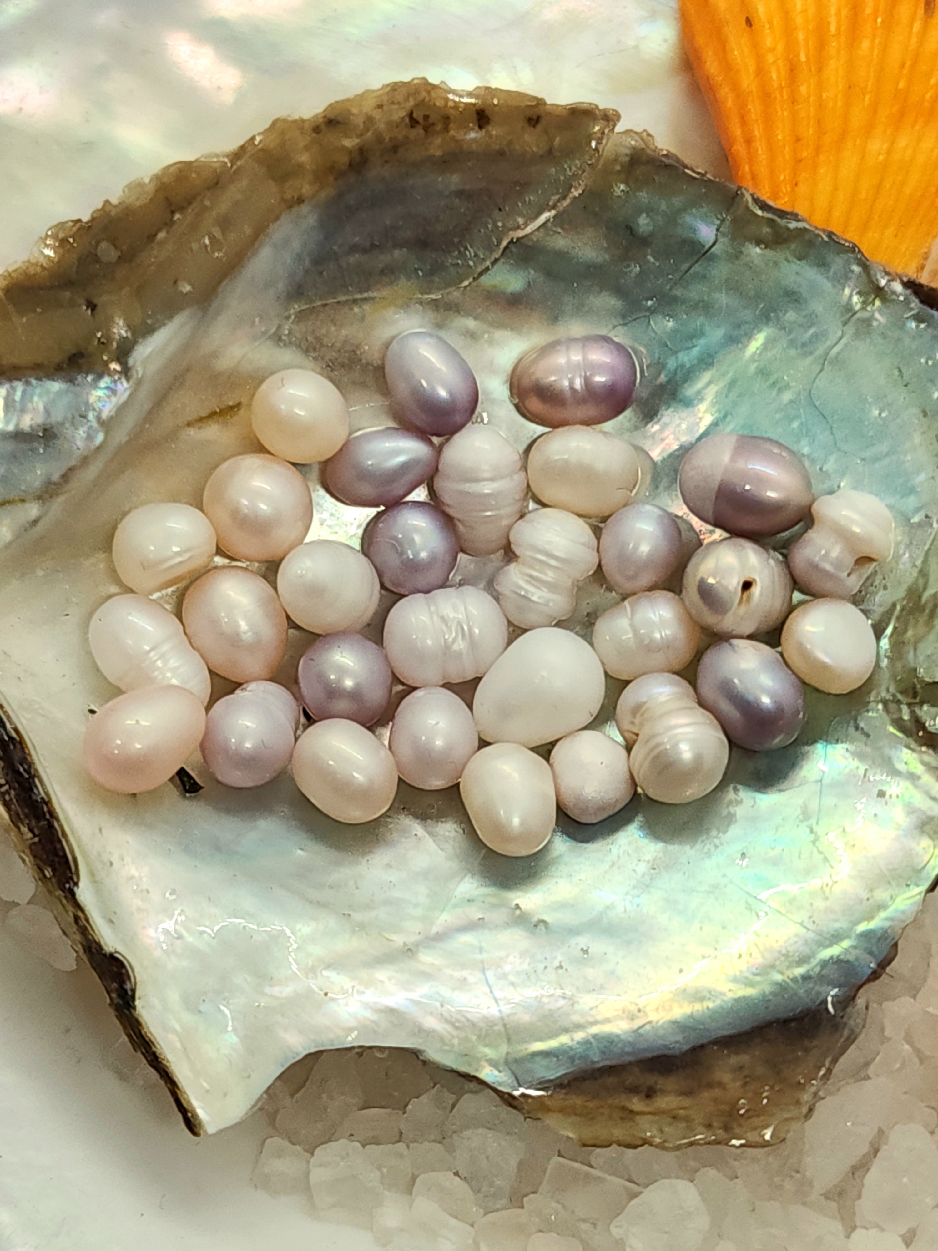 Royal Court King Oyster Opening