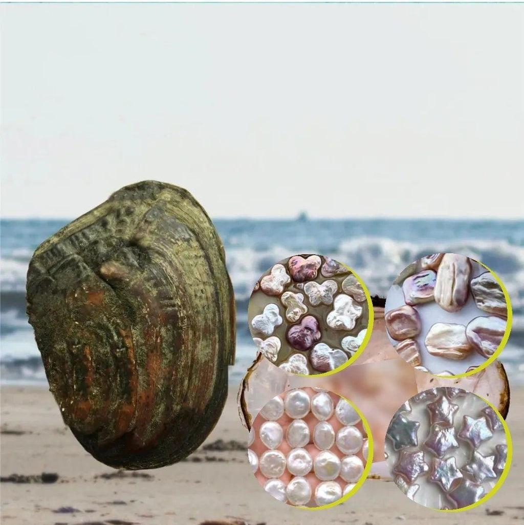 Krazy King Pre-Order