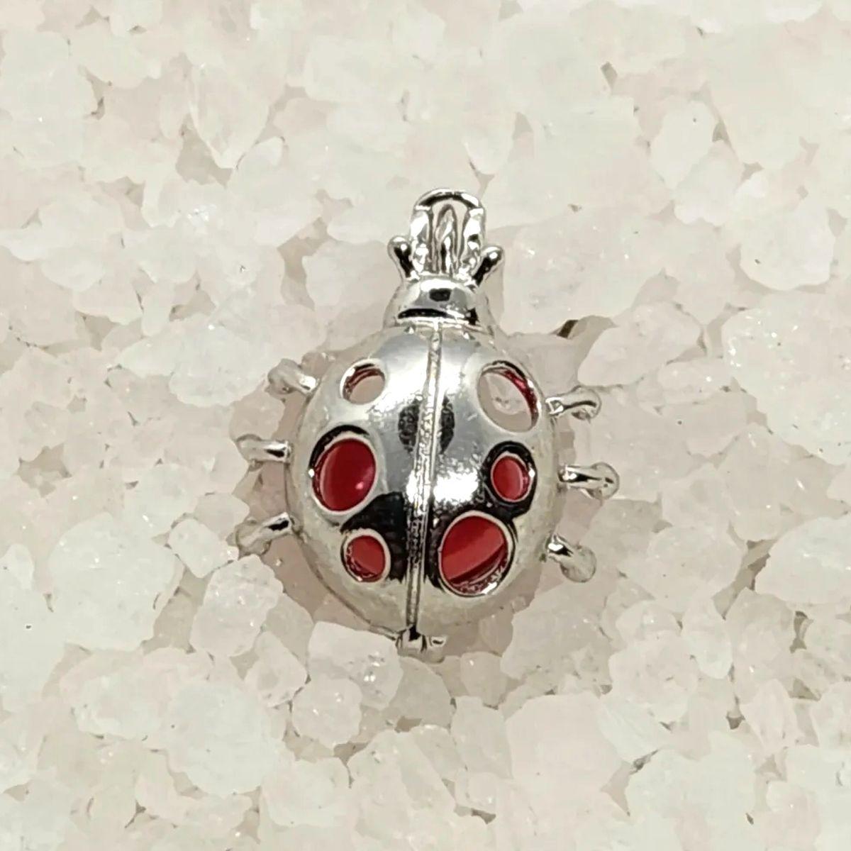 Ladybug Cage In Sterling Silver