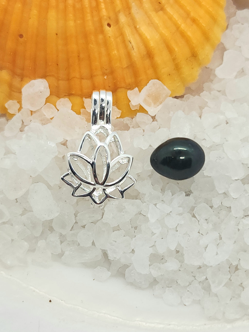 Rice Single Pearl Oyster Opening