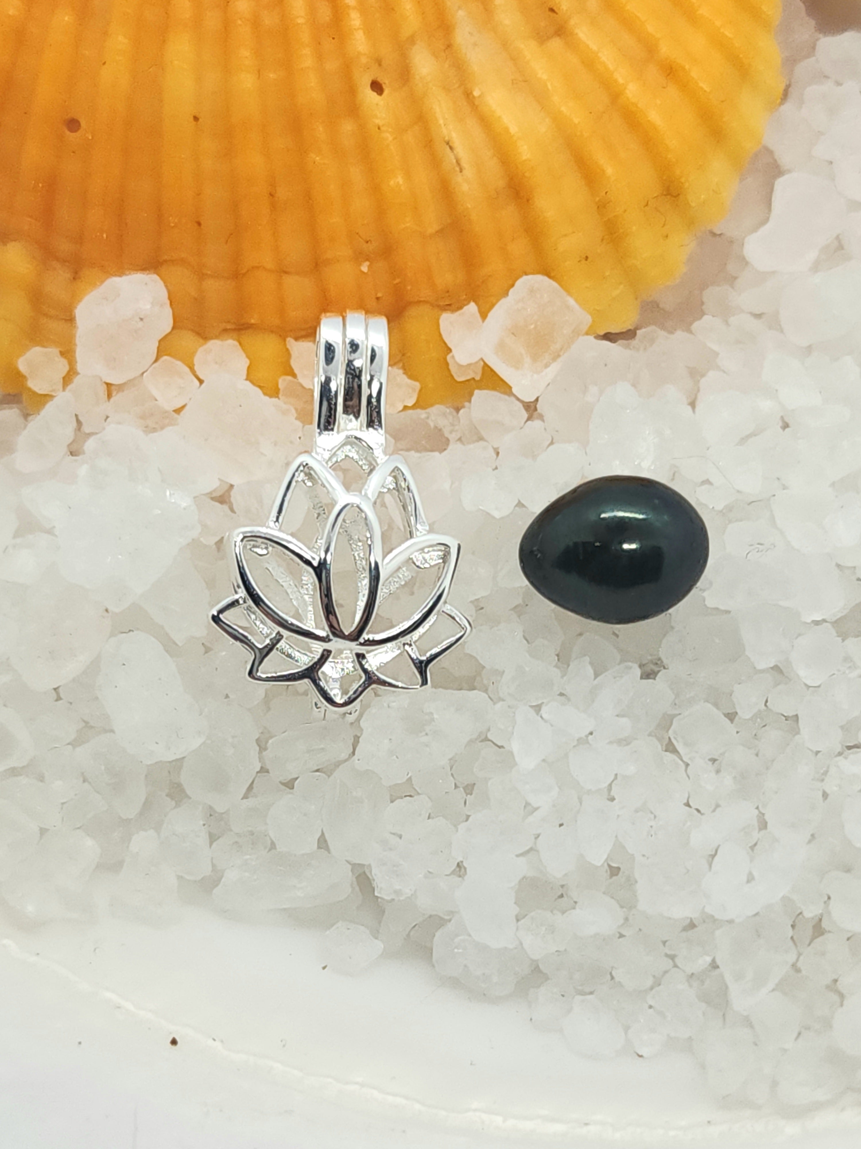 Rice Single Pearl Oyster Opening