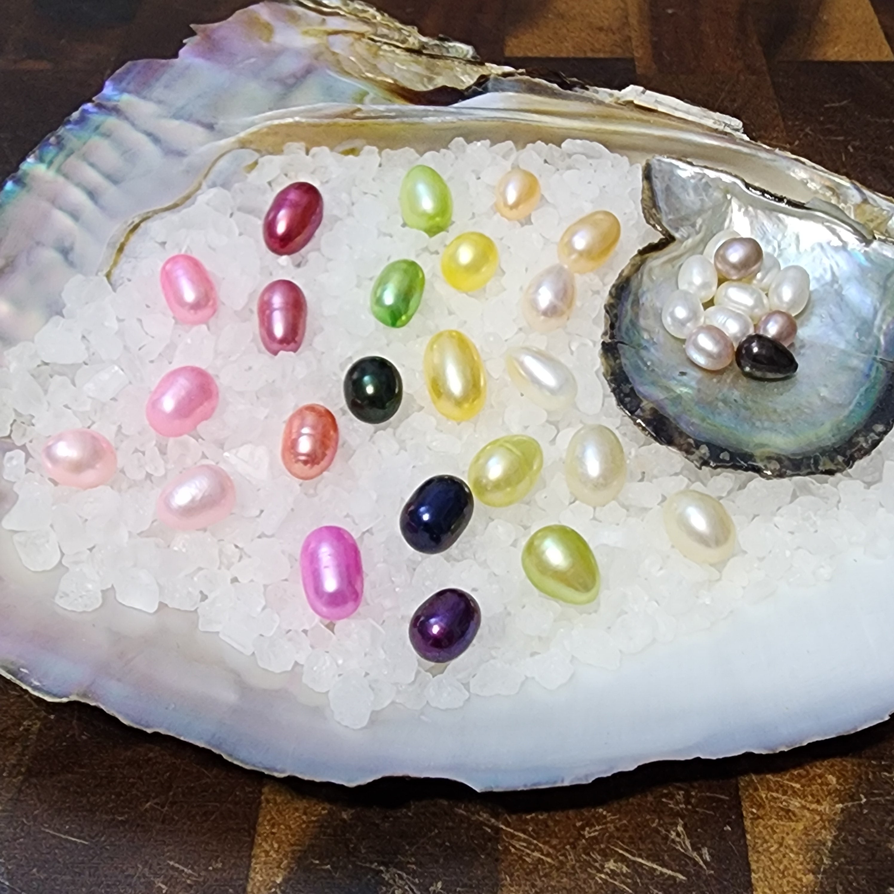 Adoptable Pearls & Shells