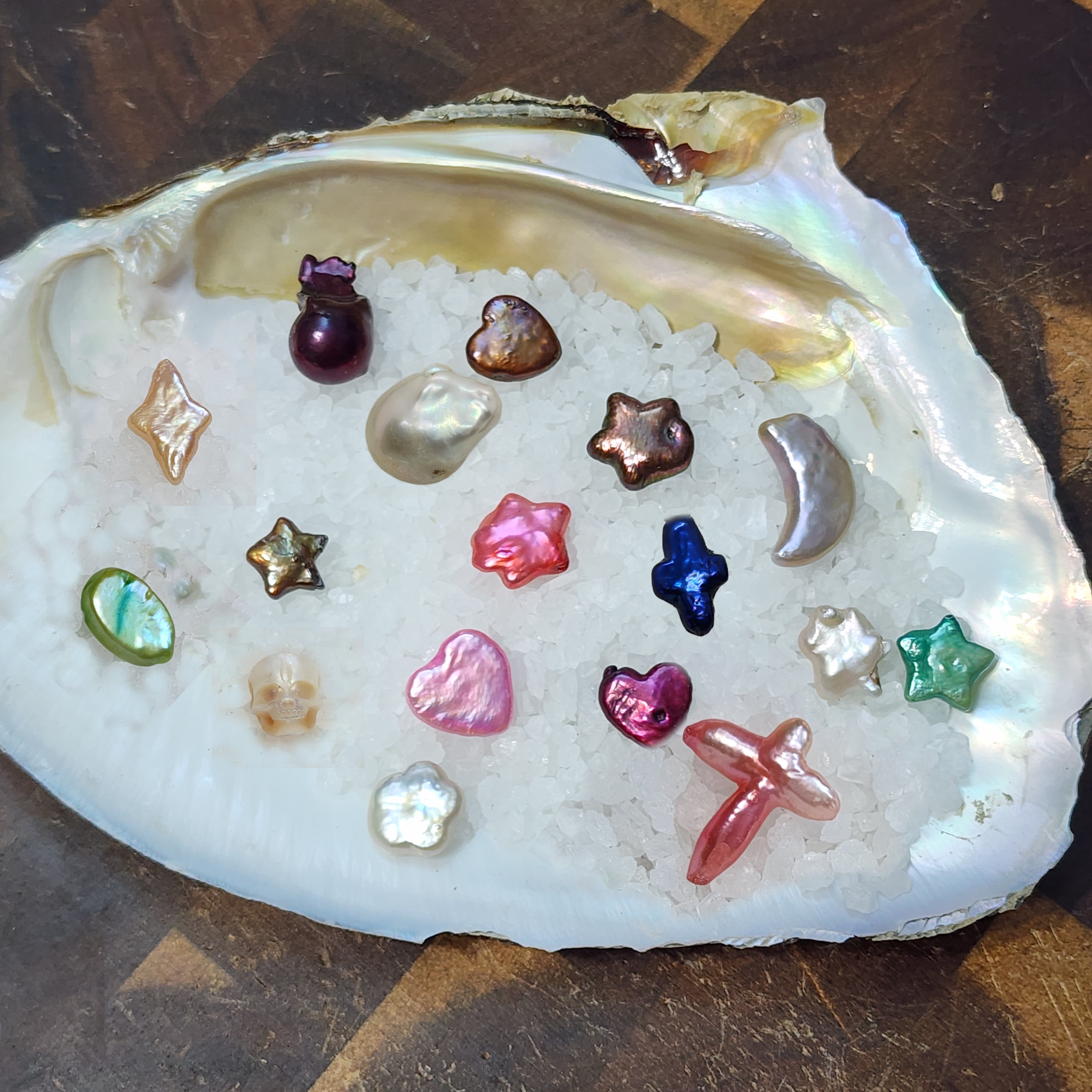 Adoptable Pearls & Shells