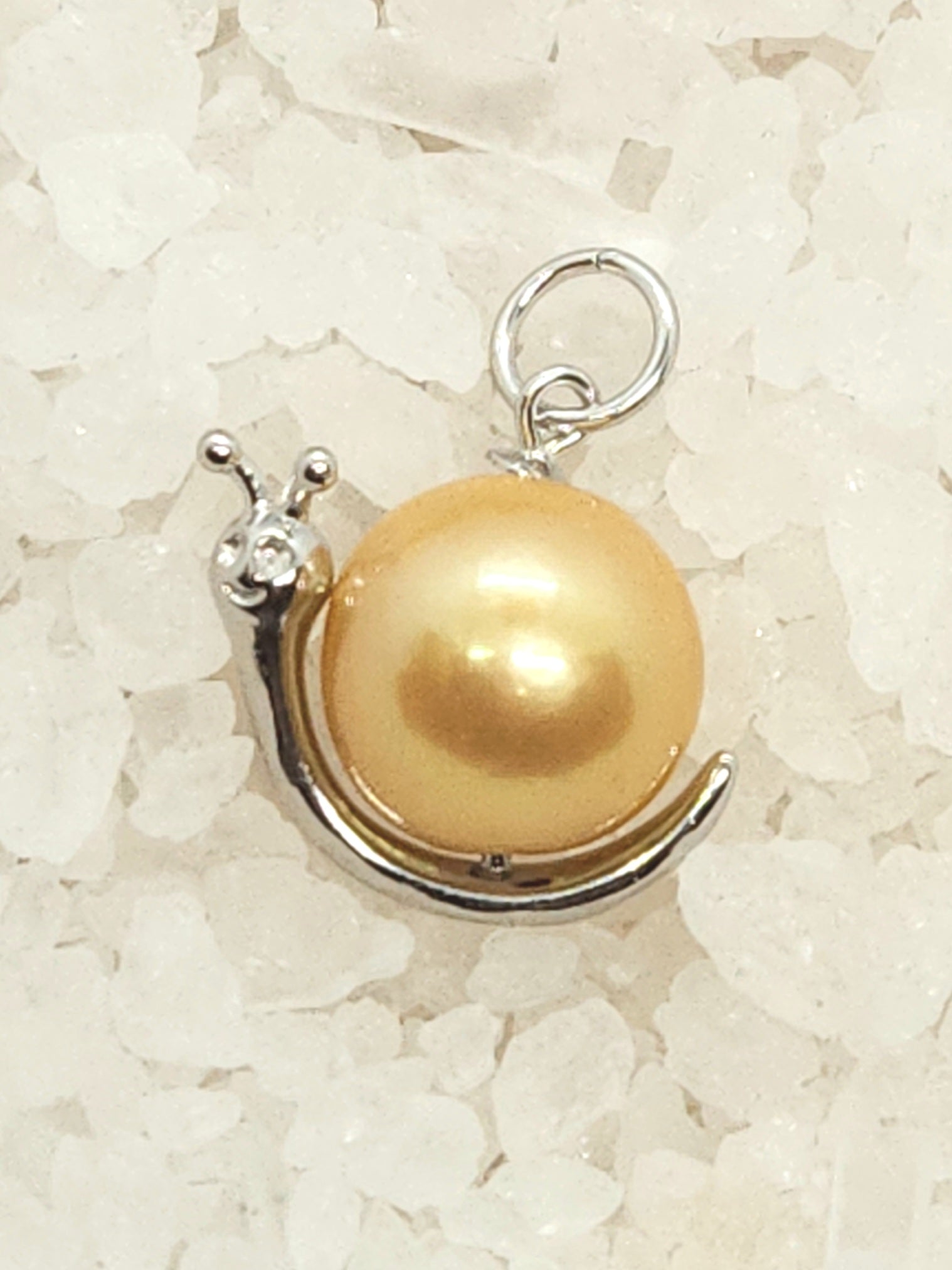 Edison Round Single Pearl Oyster Opening