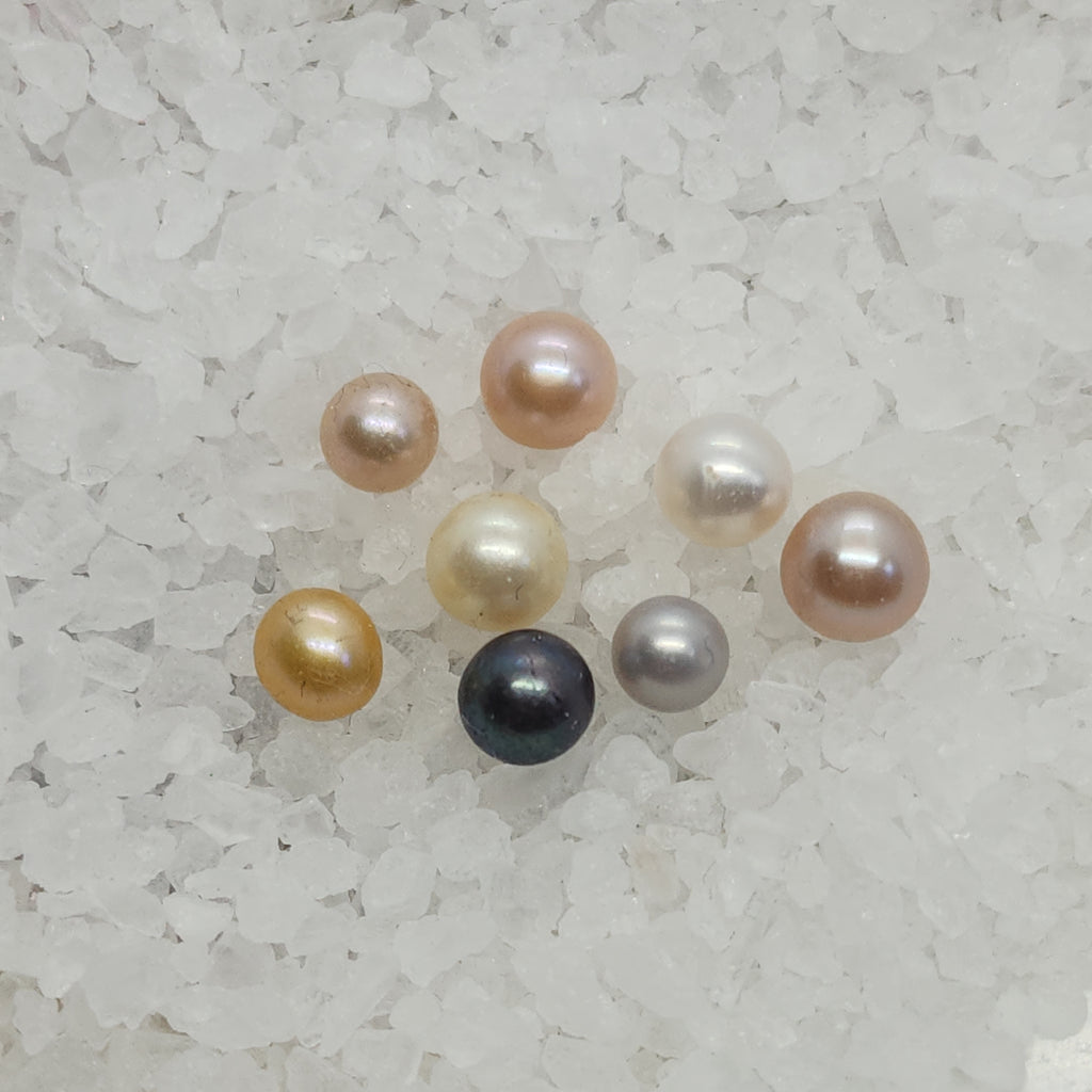 Round Single Pearl Oyster Opening