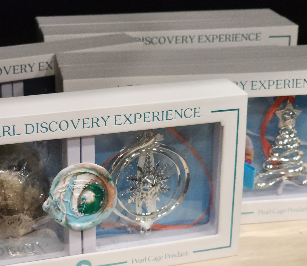 Christmas Ornament Kit