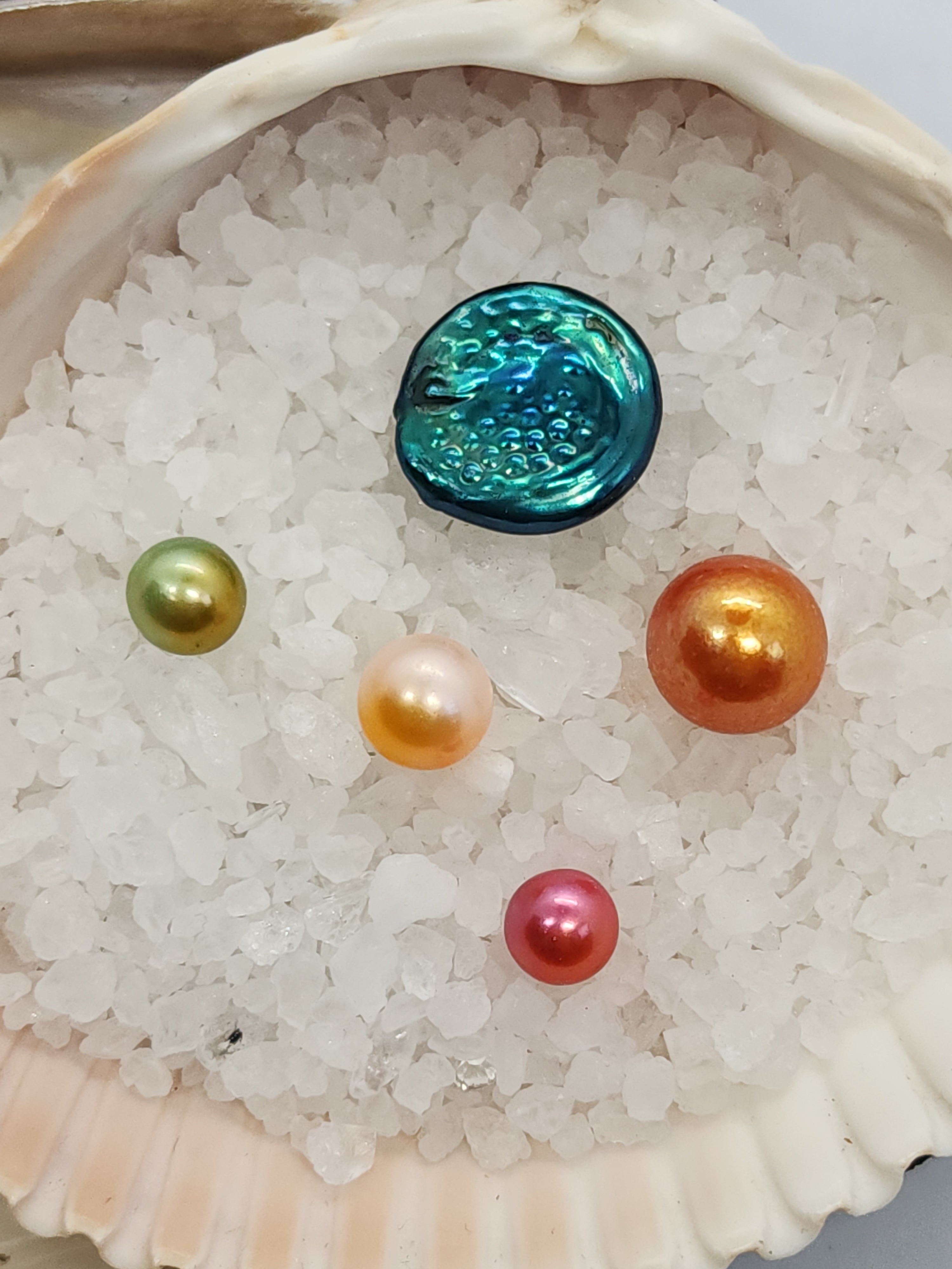 Edison Round Single Pearl Oyster Opening